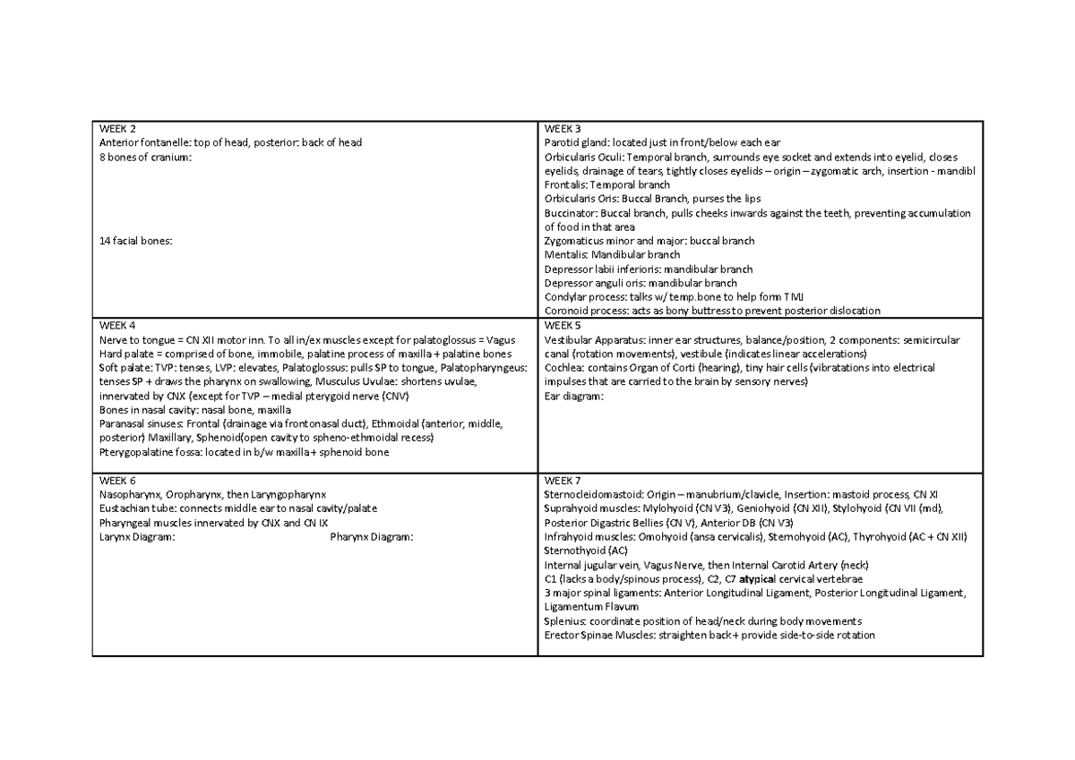 exam-cheat-sheet-week-2-anterior-fontanelle-top-of-head-posterior