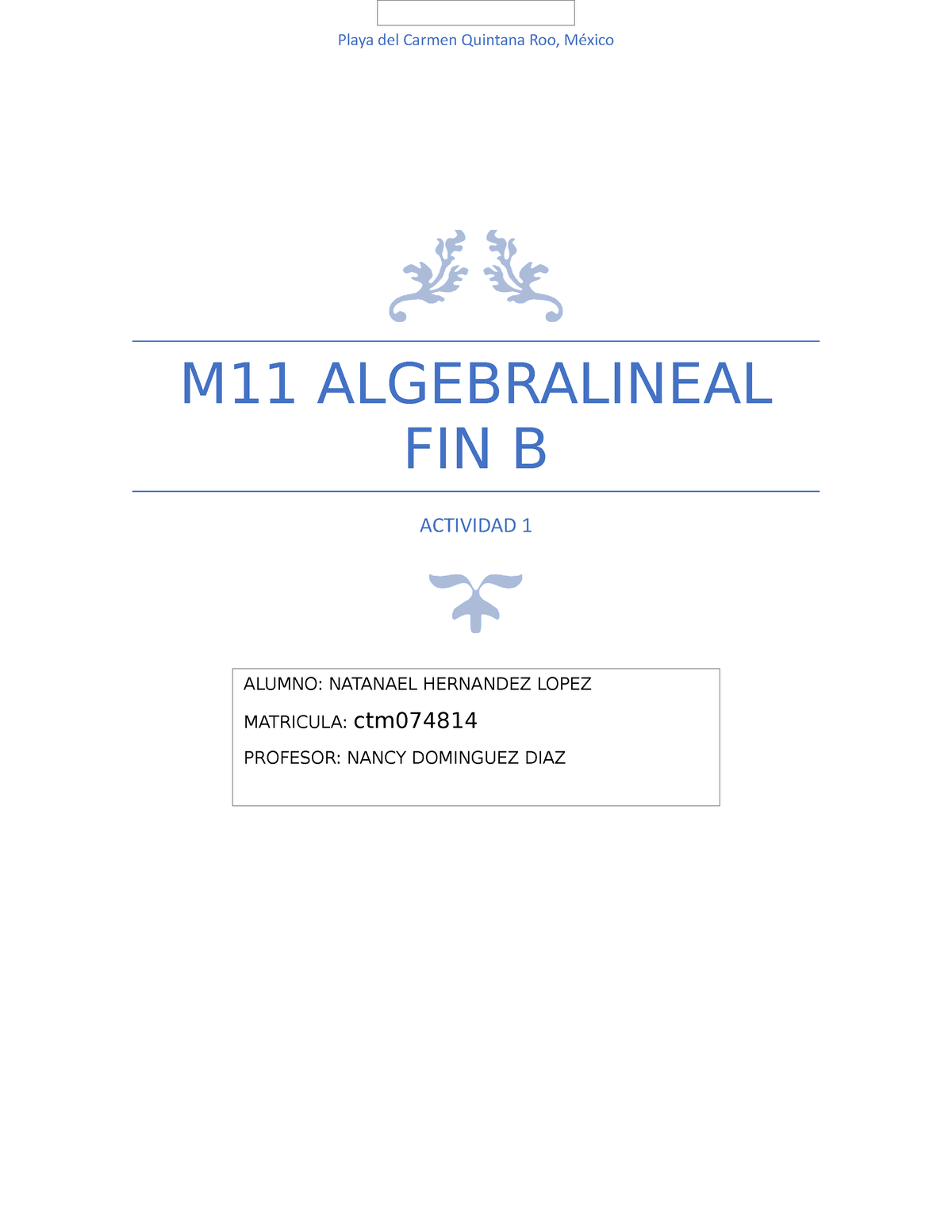 M11 Álgebra Lineal FIN B Actividad 1 - M11 ALGEBRALINEAL FIN B ...