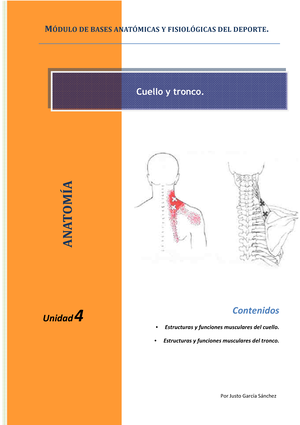 Secuencia Didáctica Pueblos Originarios En Argentina - FUNDAMENTACIÓN ...