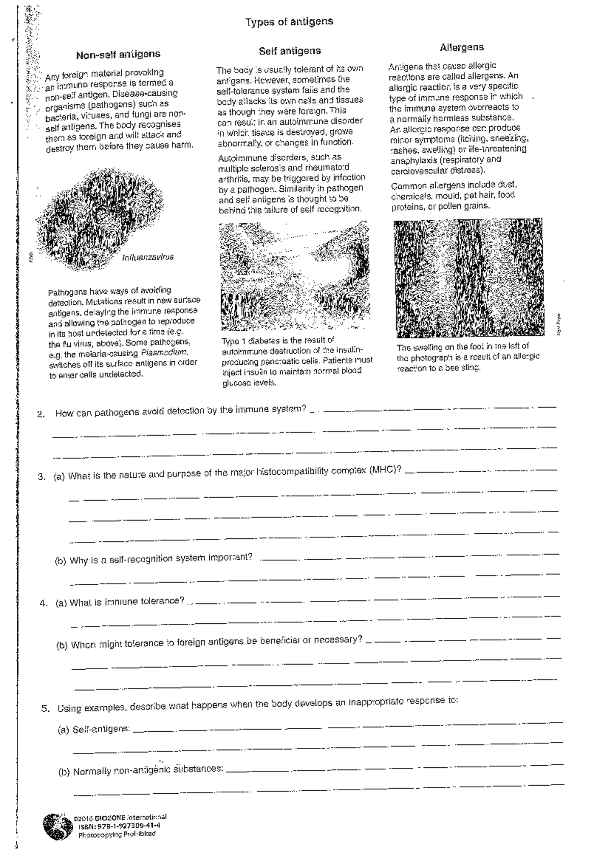 Immunity Worksheets - Practice Questions/exam/content Questions - Studocu