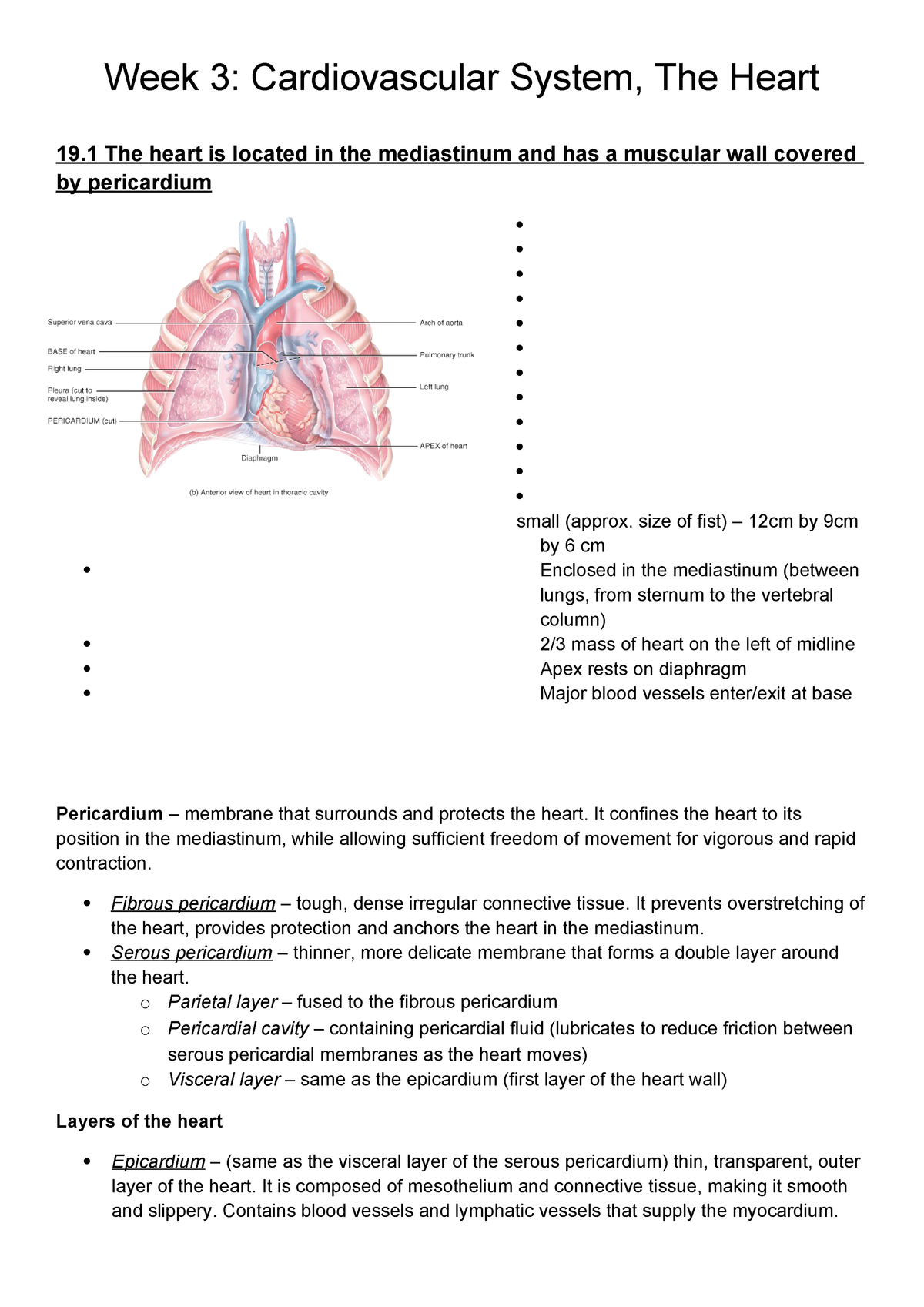 Cardiovascular System Review Guide