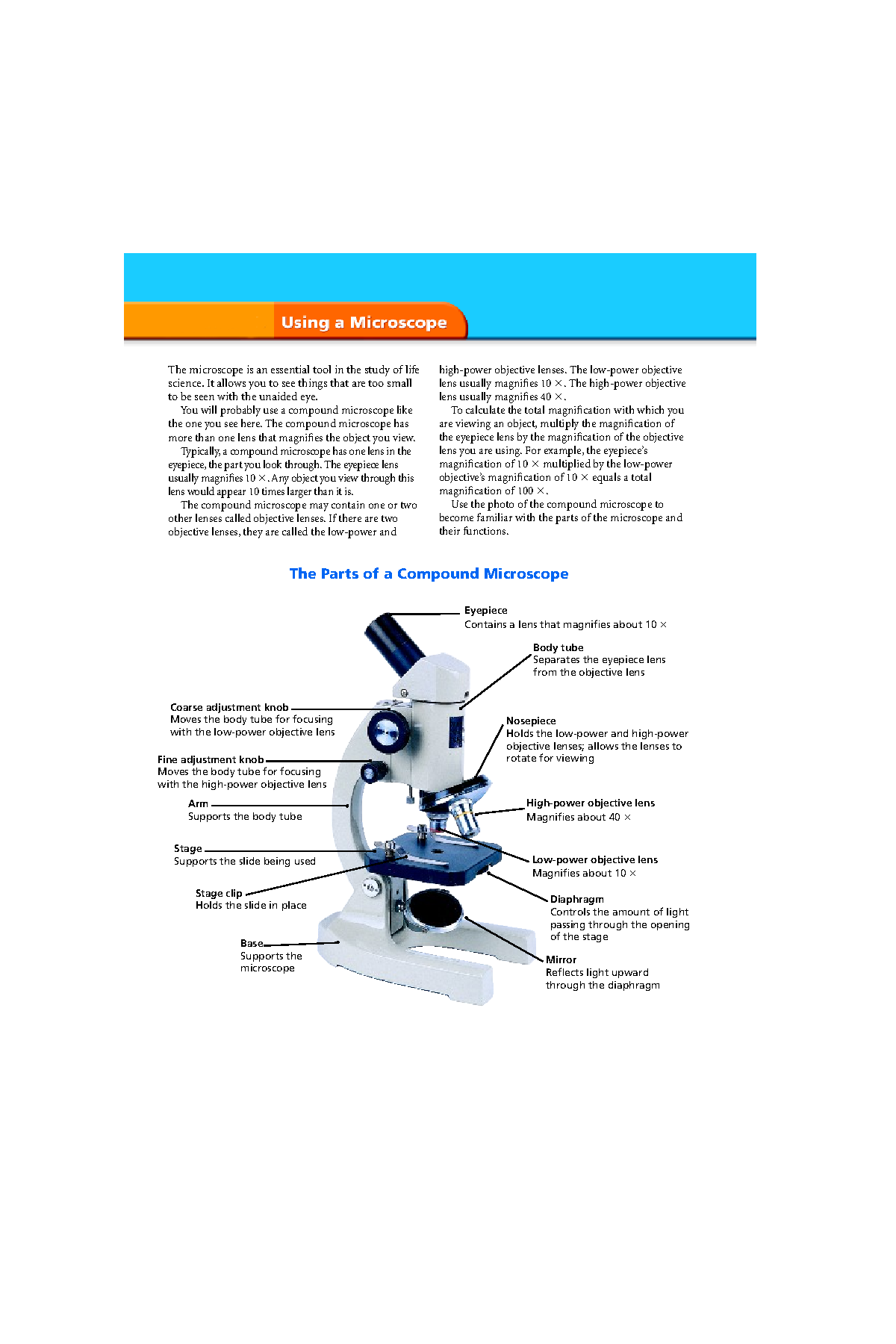 The Parts of a Compound Microscope - Teacher Web - The microscope is an ...