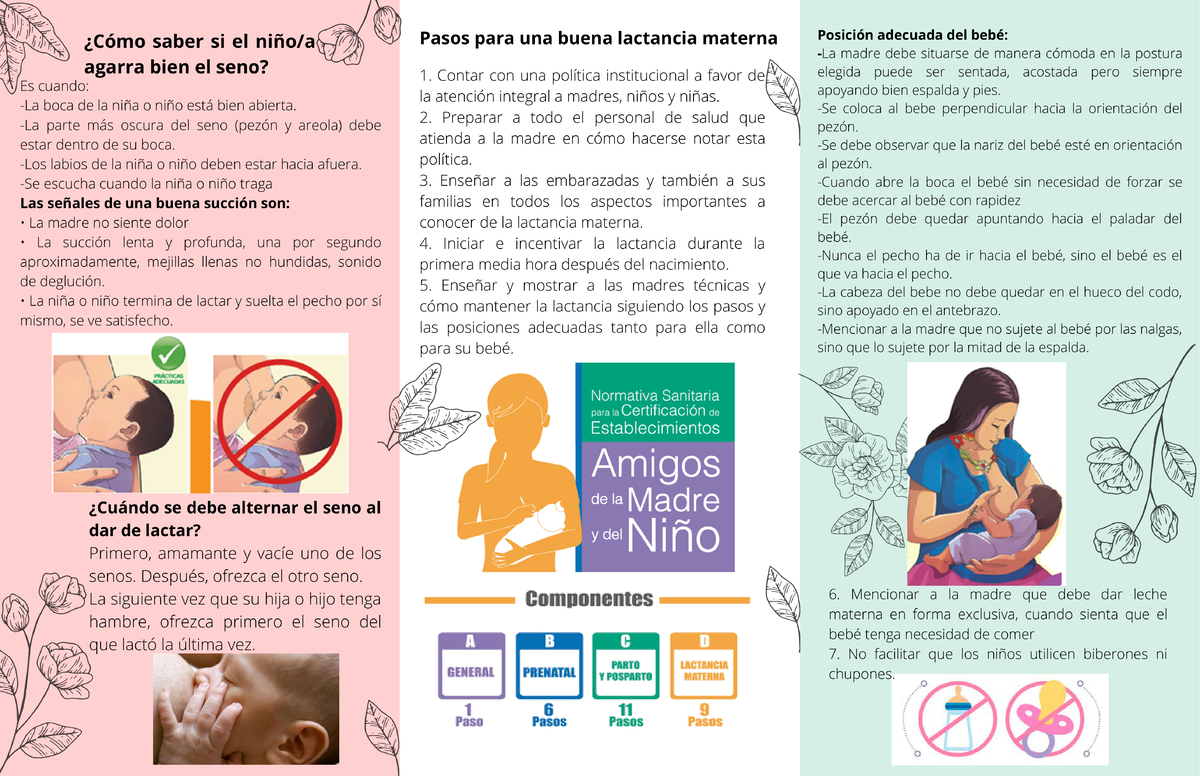Afiche Lactancia 1 - saber si el Pasos para una buena lactancia materna