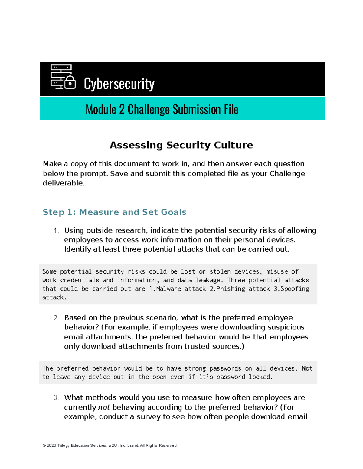 week 2 homework assessing security culture