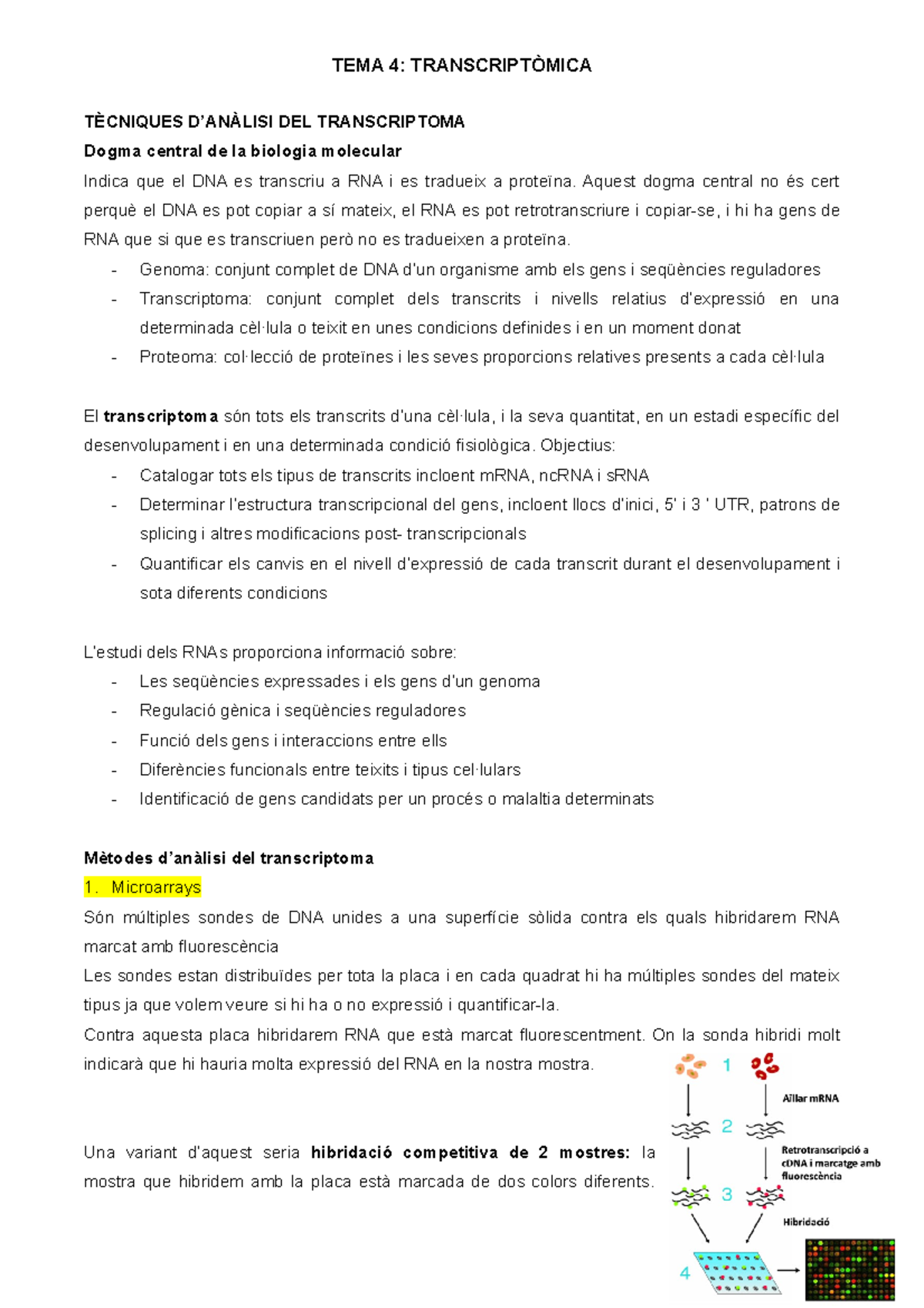 Tema 4-transcriptomica - TÈCNIQUES D’ANÀLISI DEL TRANSCRIPTOMA Dogma ...