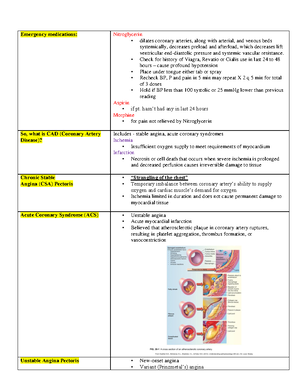 B430 Exam 2 Review Sheet 2018 - Biology 430: Unit #2 Review Sheet ...