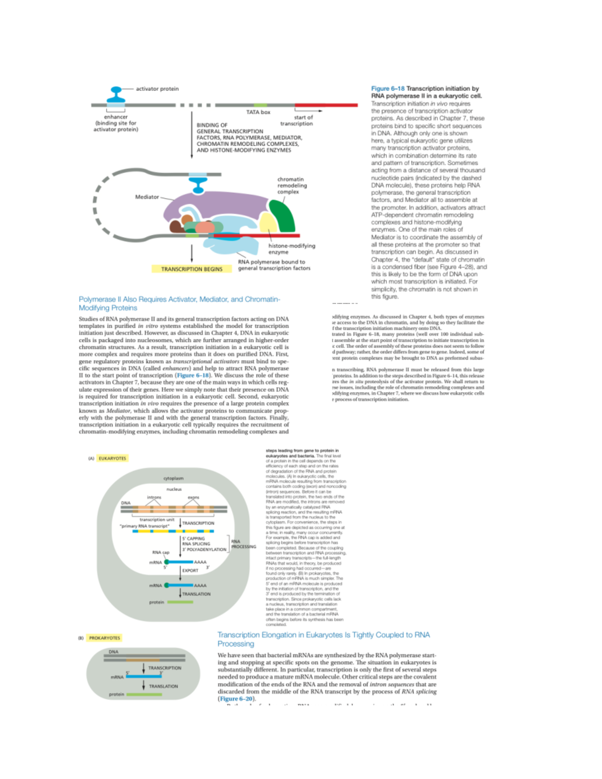 Exam 1 Study Notes (1)-9-16 - BIOL 445 - Tissueculture - Studocu