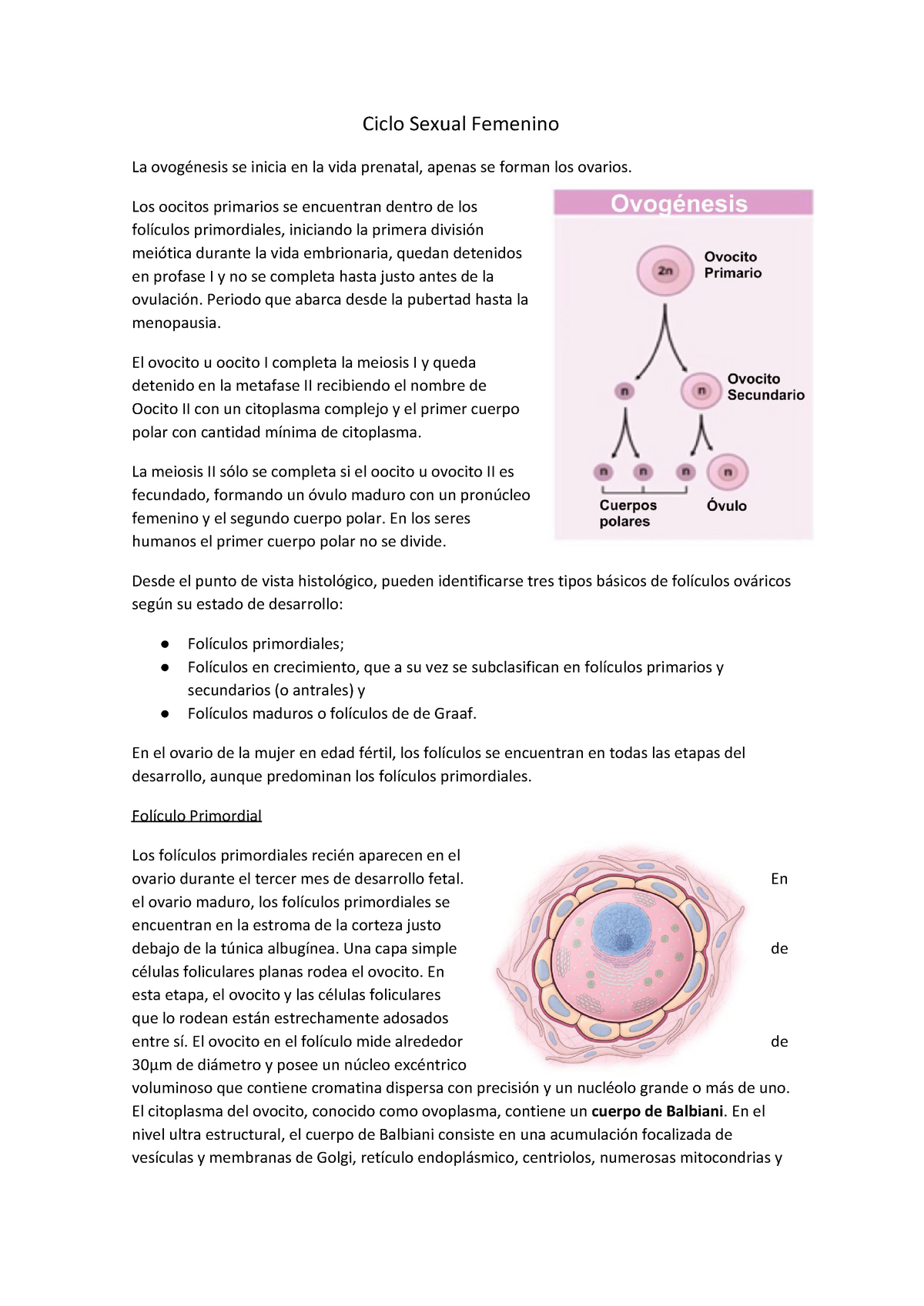 folículo primordial