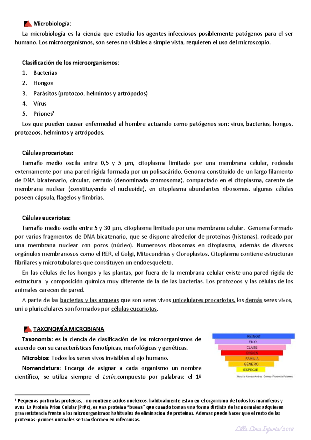 3 hongos caracteristicas y uso 3 hongos caracteristicas y uso