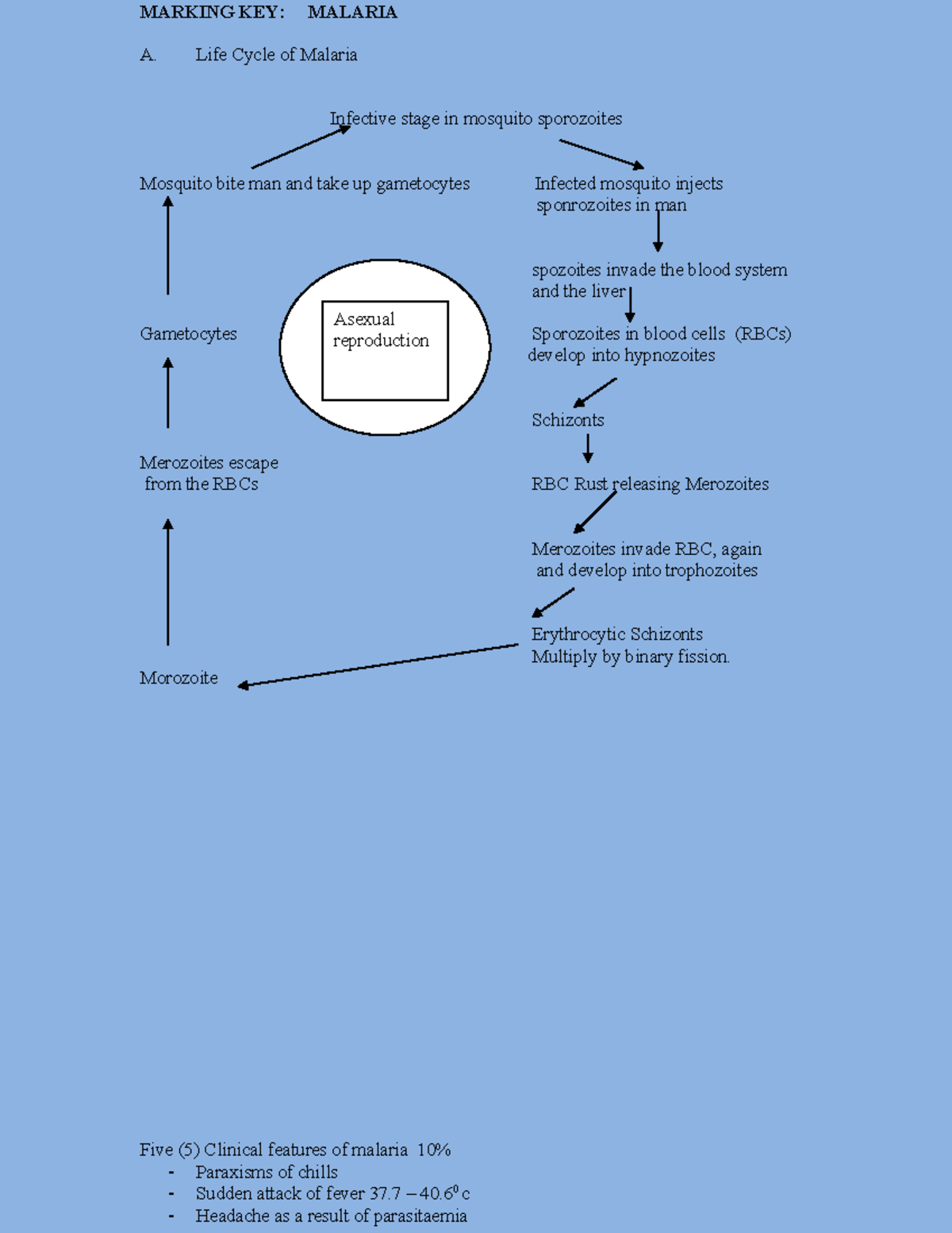 Marking KEYMalaria 2004 MARKING KEY MALARIA A. Life Cycle of