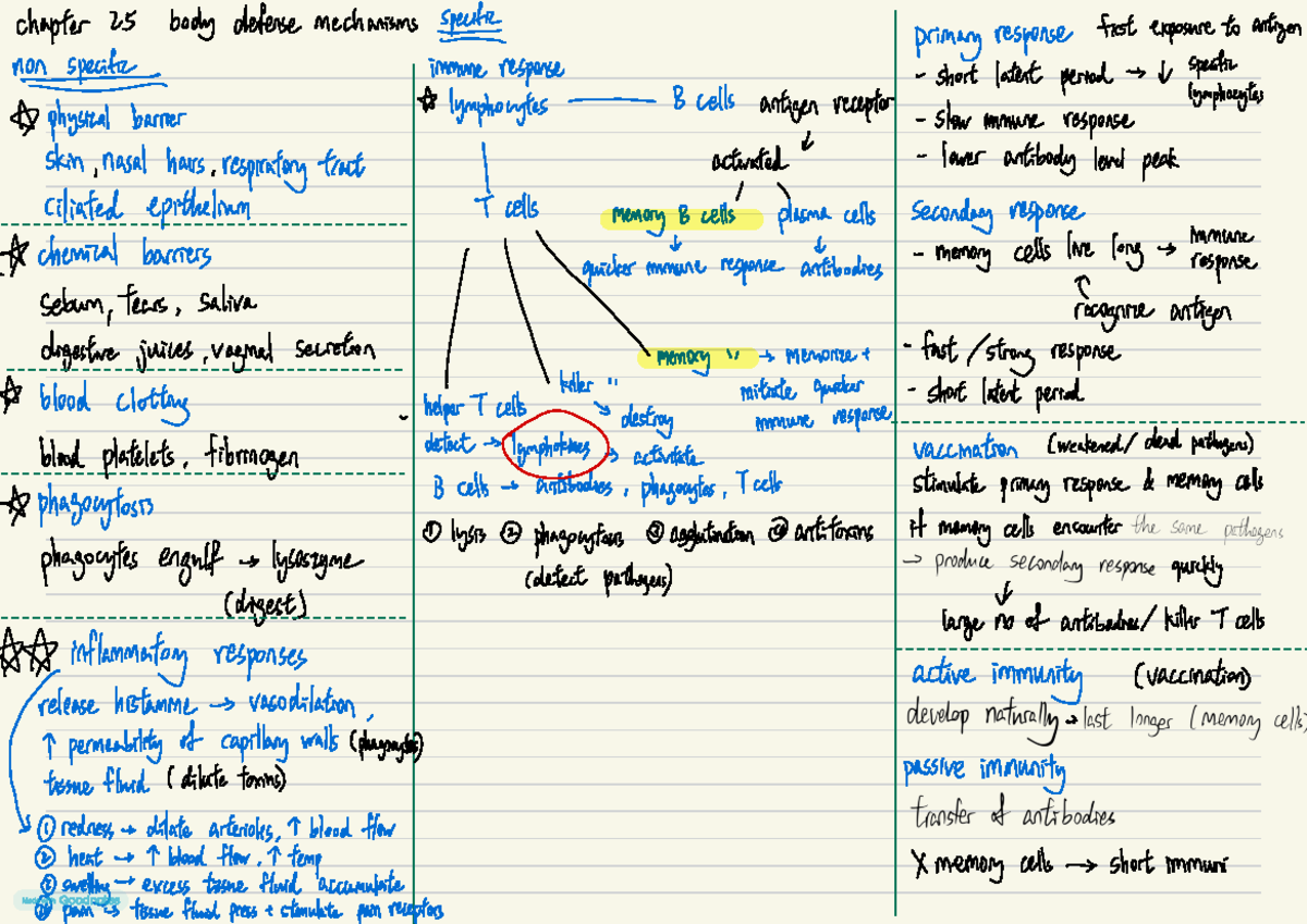 Ch25 mindmap body defence mechanism - bedy defense mechanisms Specific ...