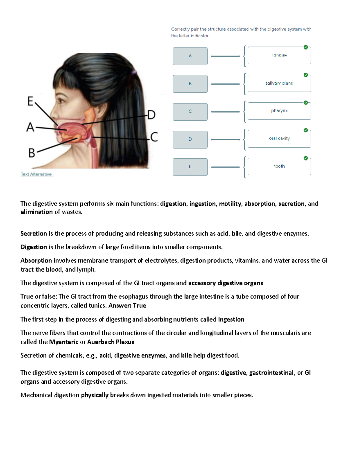 CHapter 26 & 27 - 2022SP-BIOL-2402-52802 2022SP Anatomy And Physiology ...