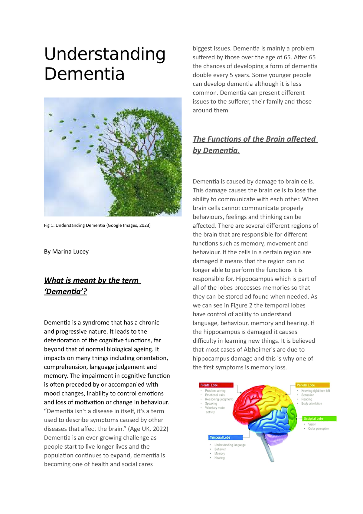 understanding dementia assignment