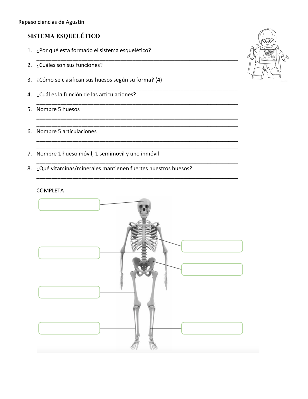 Sistema EsqueléTICO 4to Bsico - Repaso Ciencias De Agustin SISTEMA ...