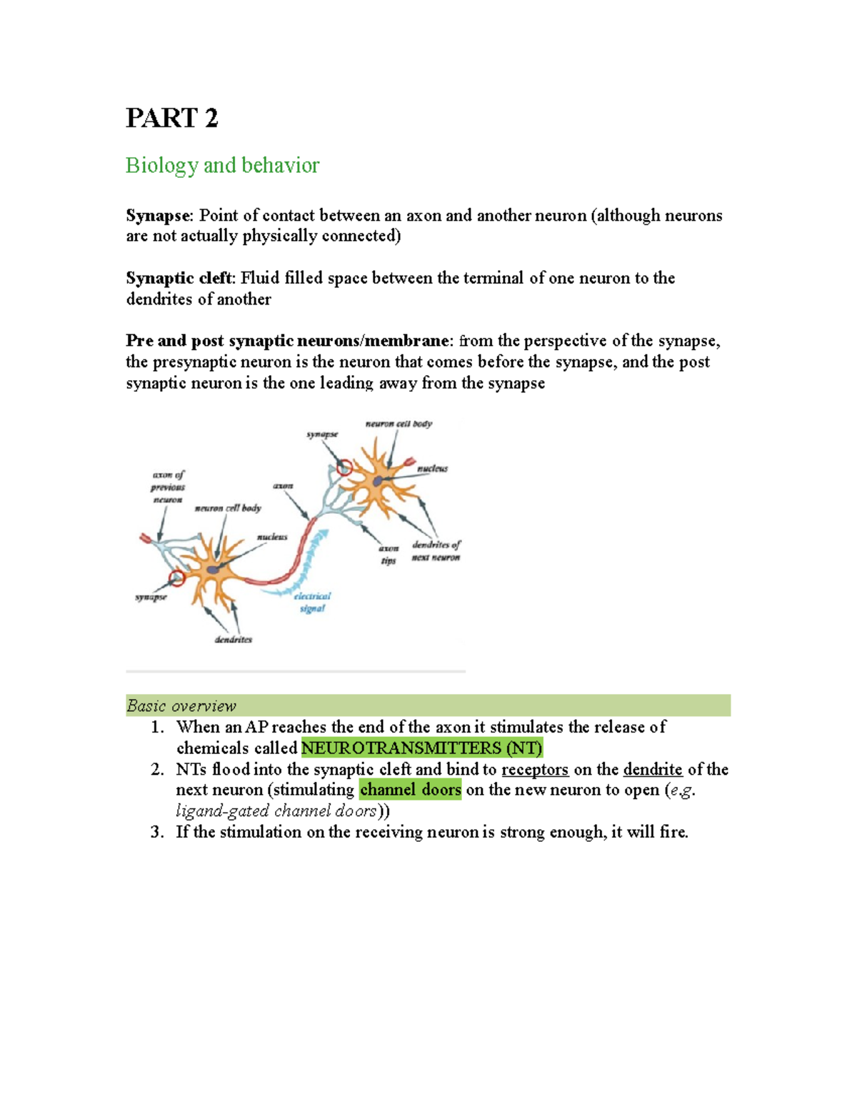 Biology And Behavior (PART 2) - PART 2 Biology And Behavior Synapse ...