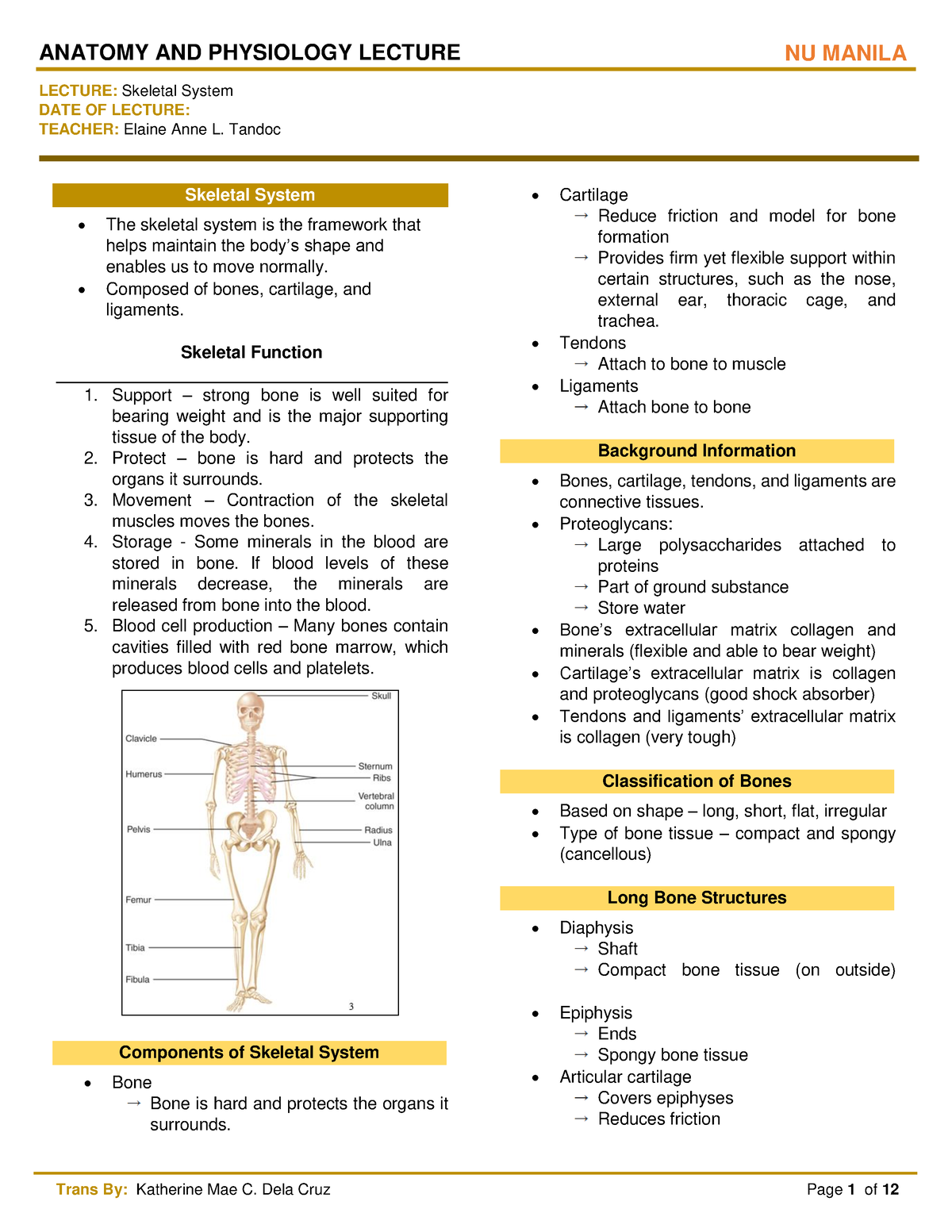 Anatomy and Physiology - LECTURE: Skeletal System DATE OF LECTURE ...