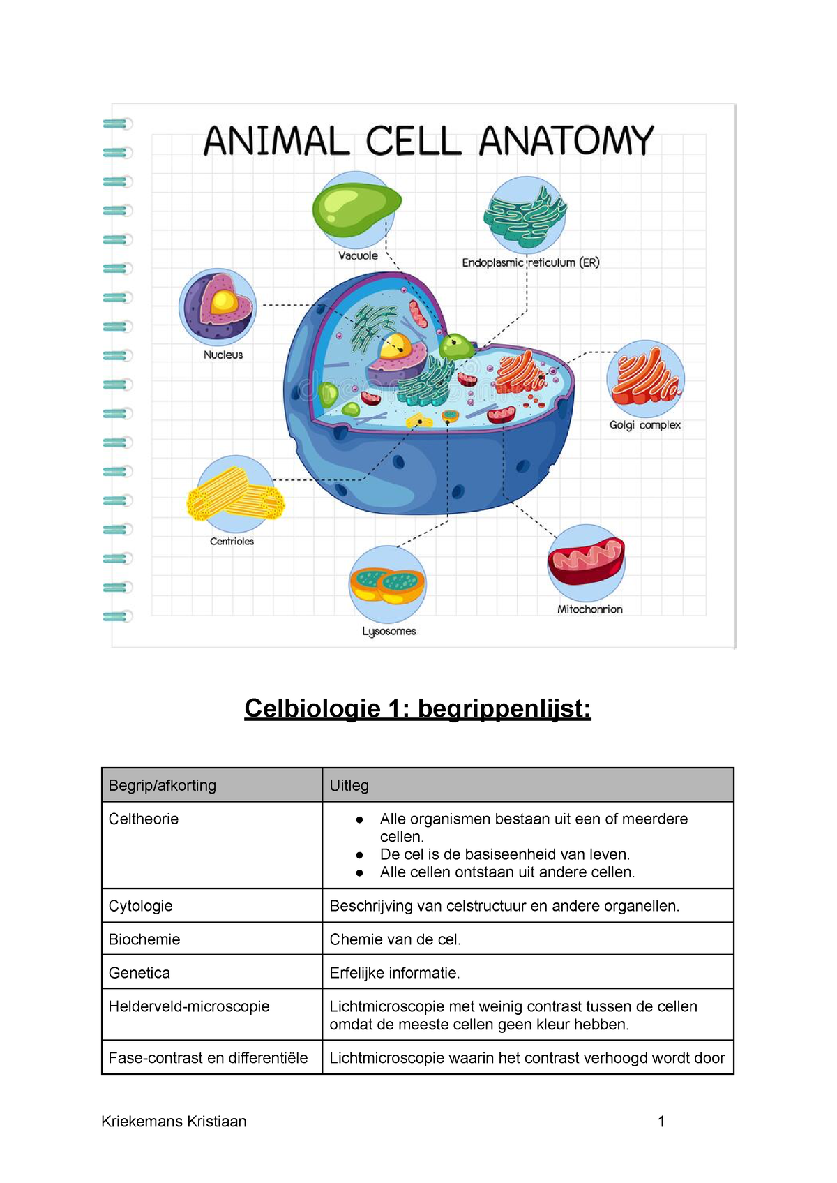 Celbiologie 1 Begrippenlijst - Celbiologie 1: Begrippenlijst: Begrip ...