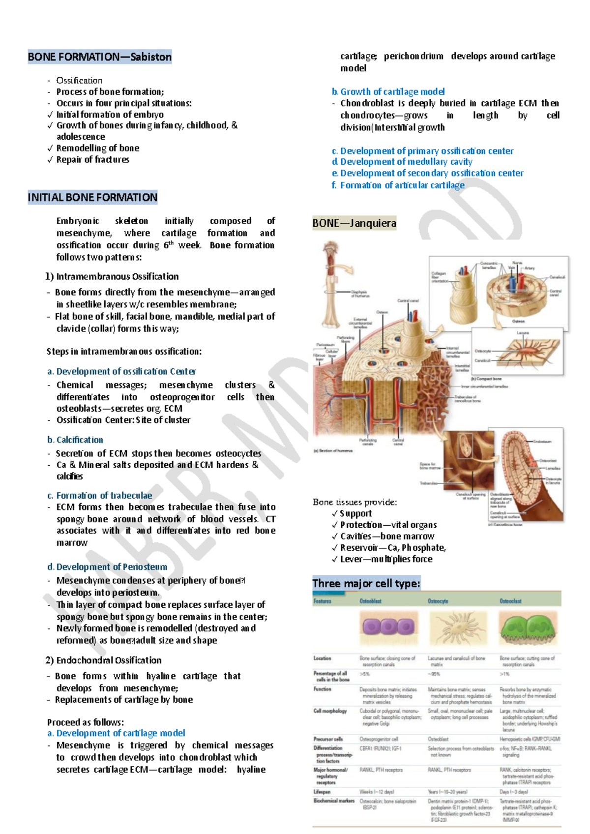 BONE HISTOLOGY - BONE FORMATION—Sabiston Ossification Process of bone ...