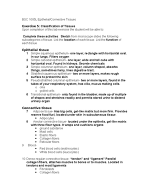 Active Learning Template Diagnostic Procedure form - ####### Diagnostic ...