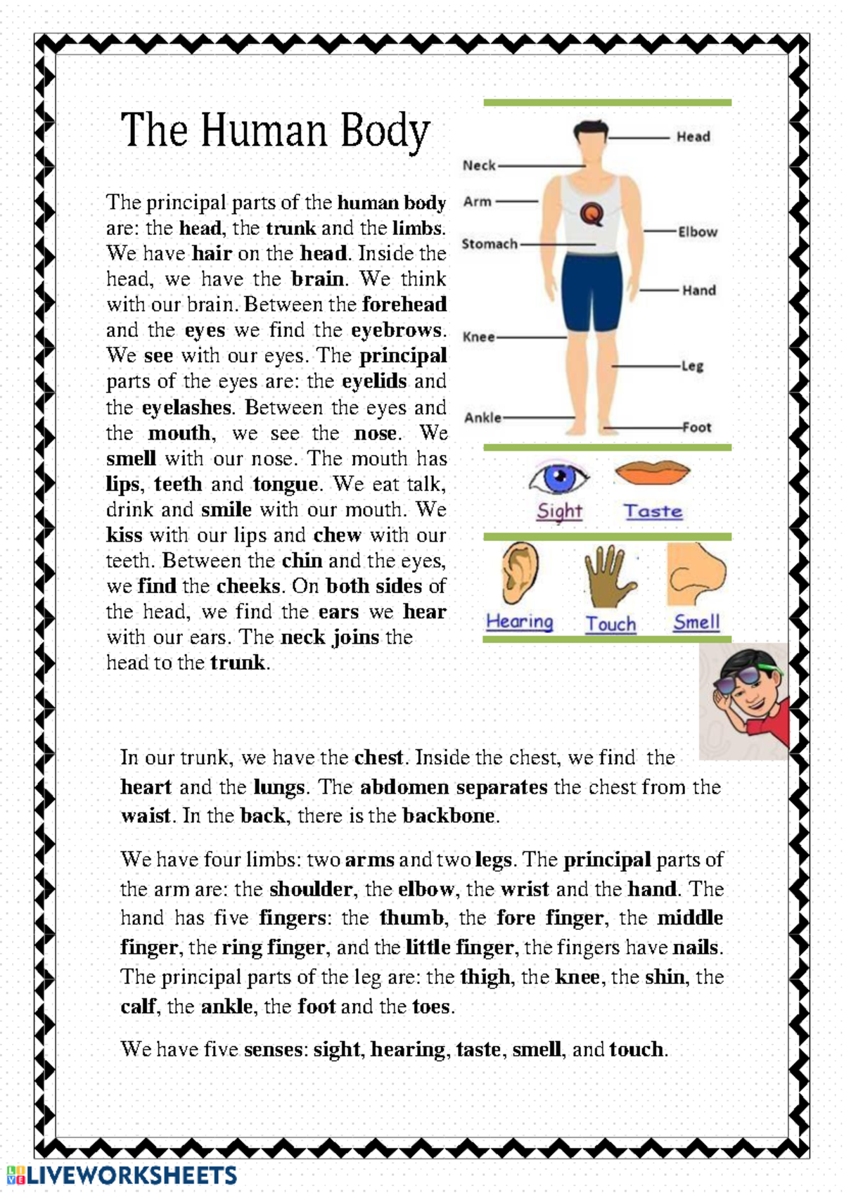 Actividad Parts OF BODY C0 Rrecta - The Human Body The principal parts ...