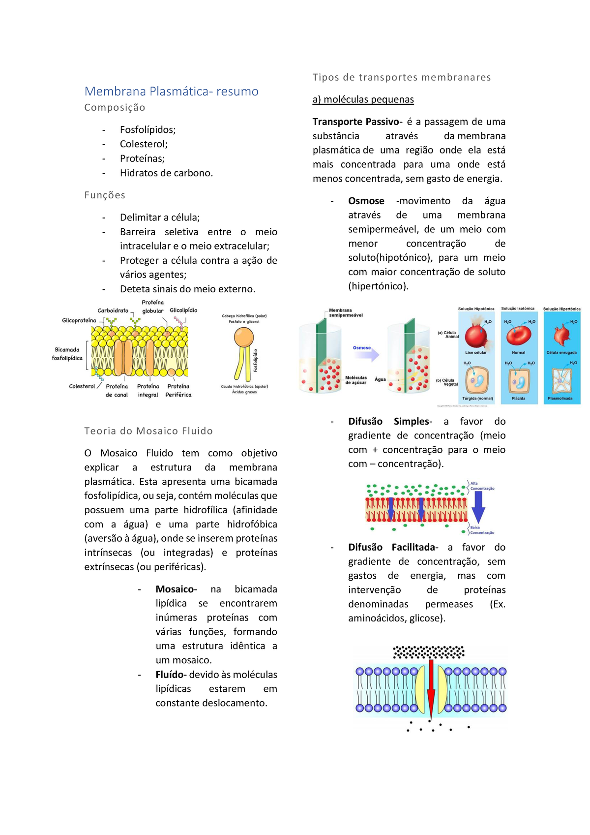 Membrana Plasmática- Resumo - Membrana Plasm·tica- Resumo Co M Po SiÁ„o ...