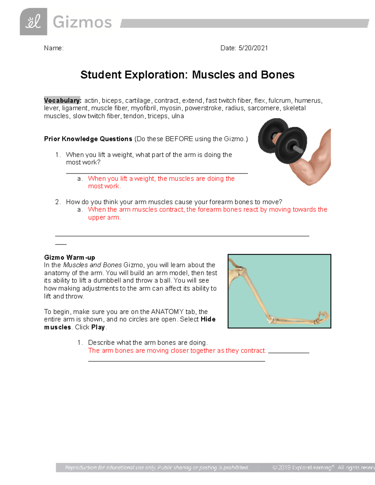 Muscles Bonesgizmo1 Name Date 5/20/ Student Exploration Muscles