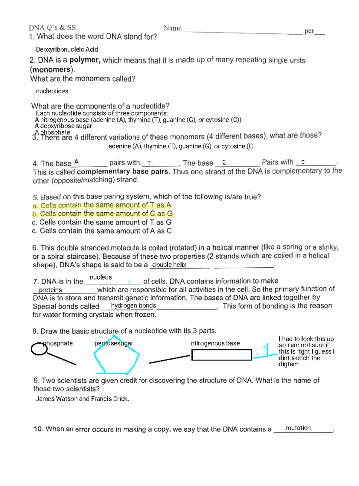Kami Export - 2024-04-10 11-02 - DNA & SS Name per 1. What does the ...