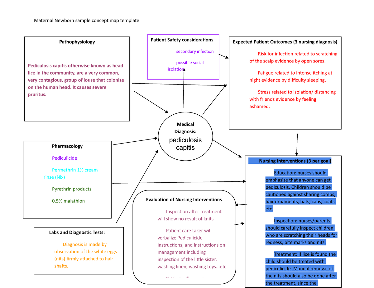 Ultimate Guide to Creating Effective Concept Maps for Nursing: Free PDF ...