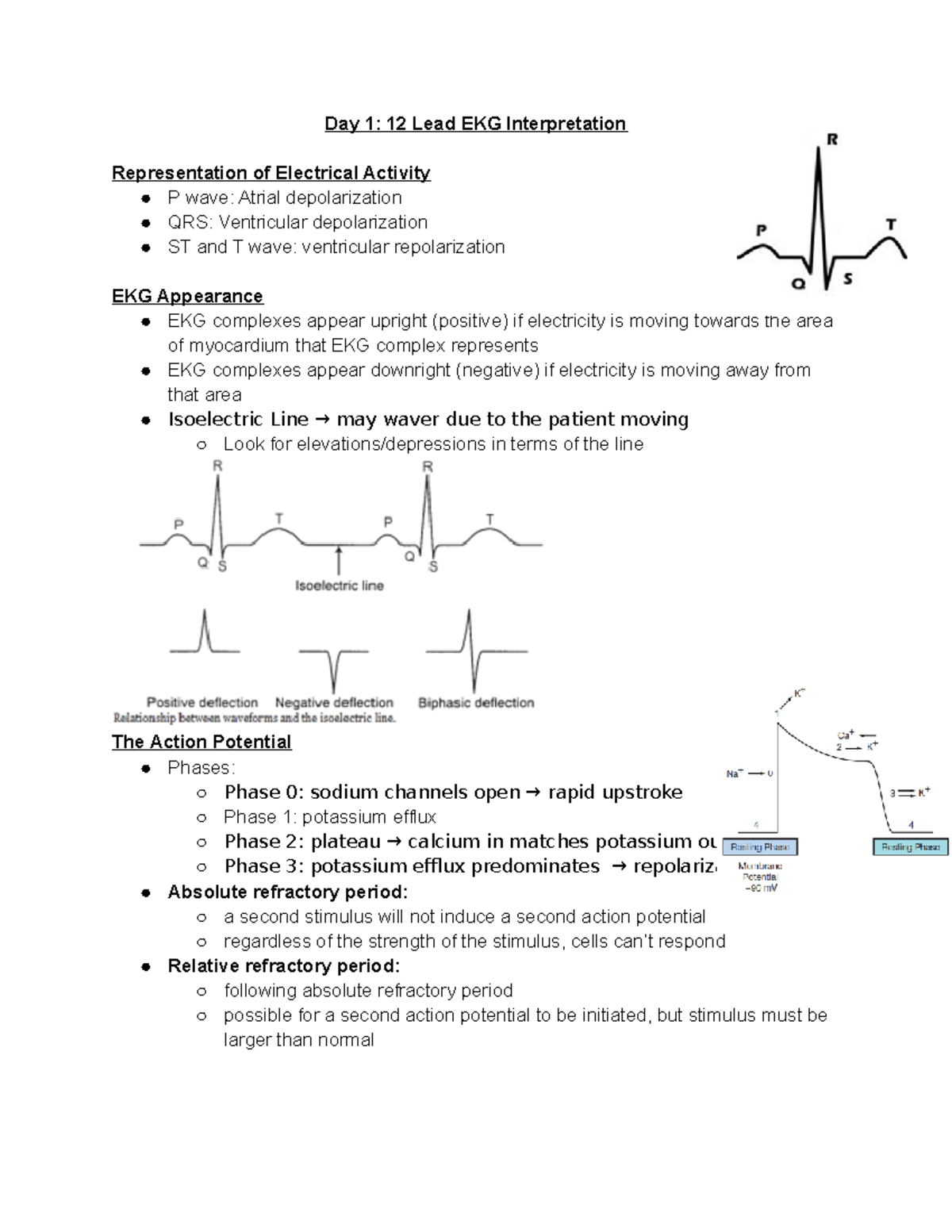12 Lead EKG Interpretation Day 1 12 Lead EKG Interpretation
