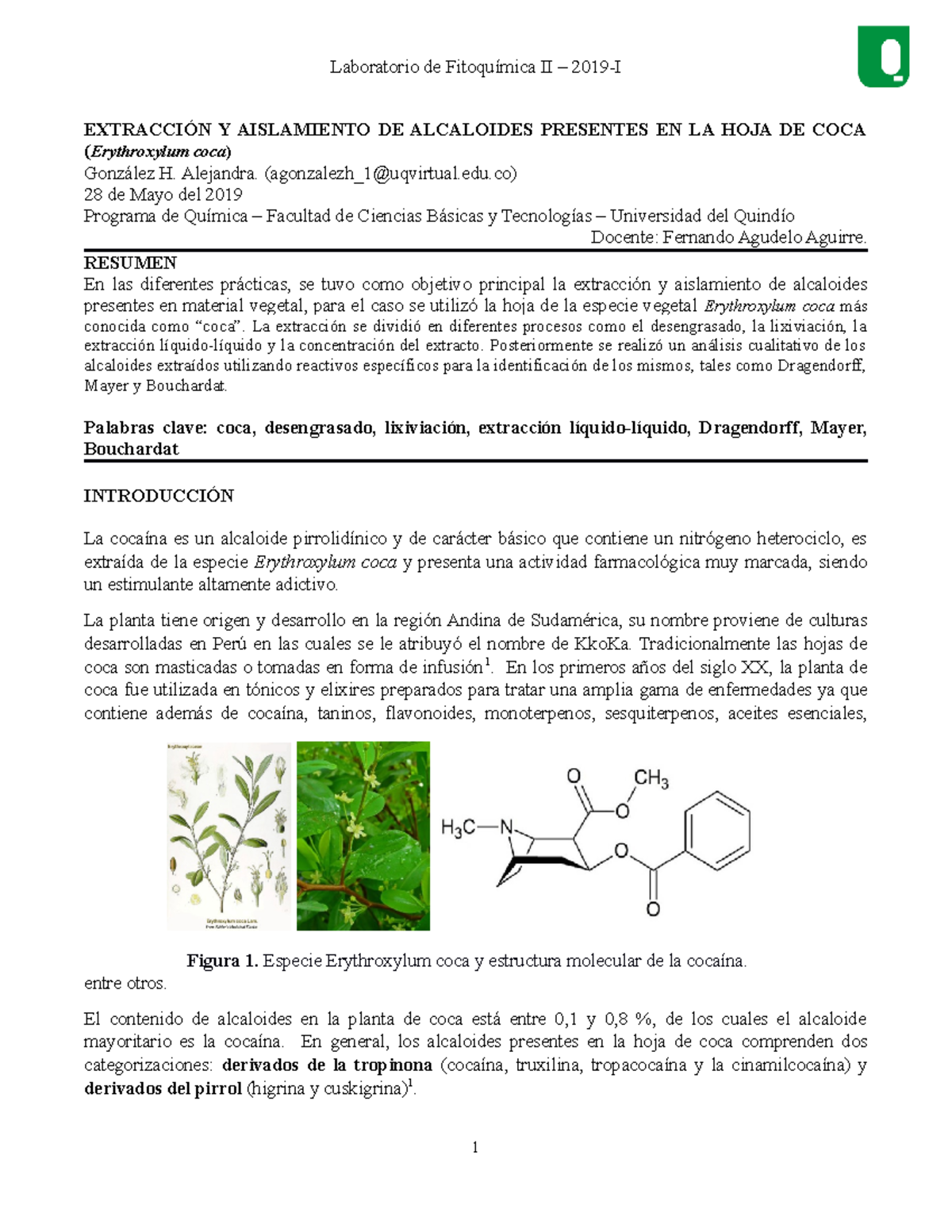 5 Informe DE LAB Extracción Y Aislamiento DE Alcaloides Presentes EN LA