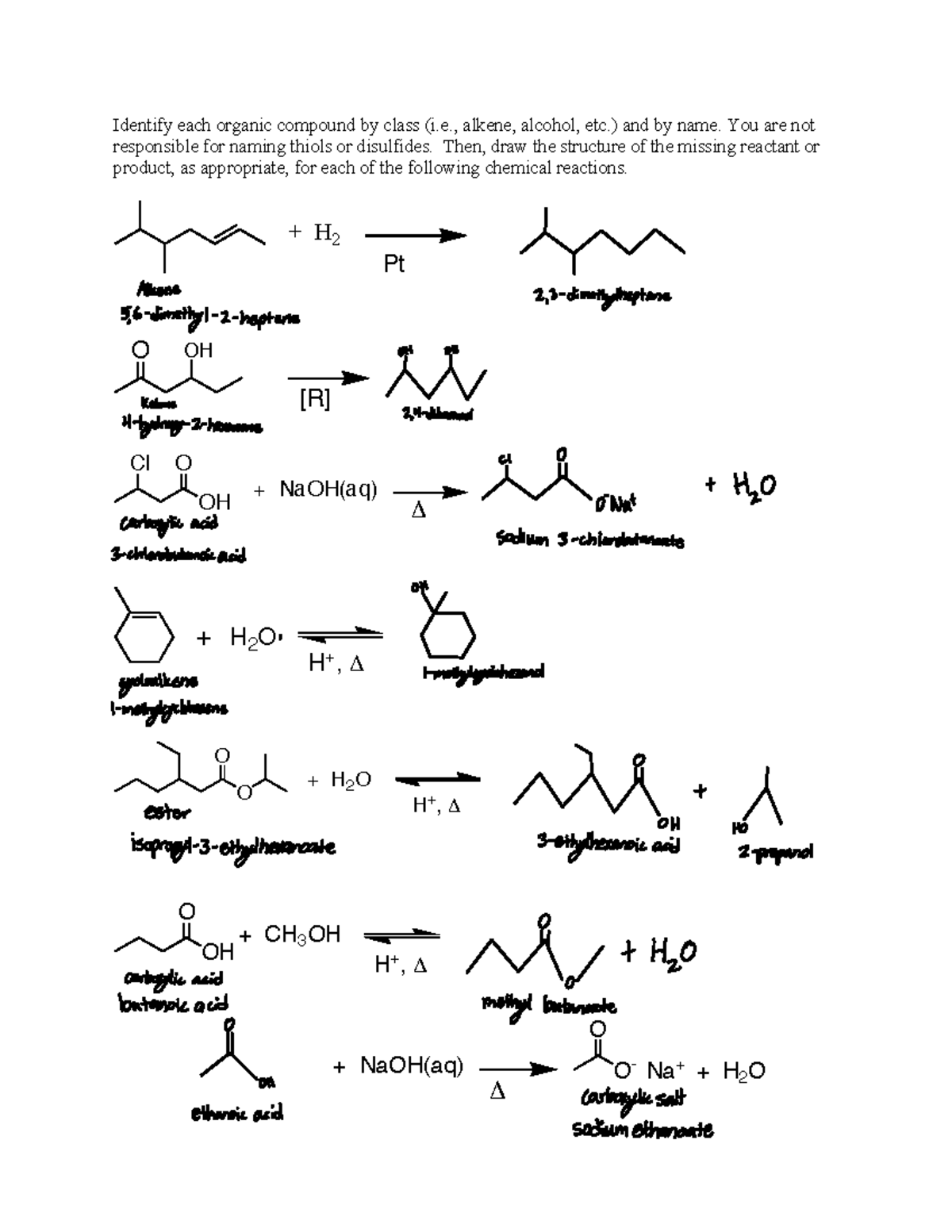 Organic Worksheet - O-Chem Practice and Notes - Identify each organic ...