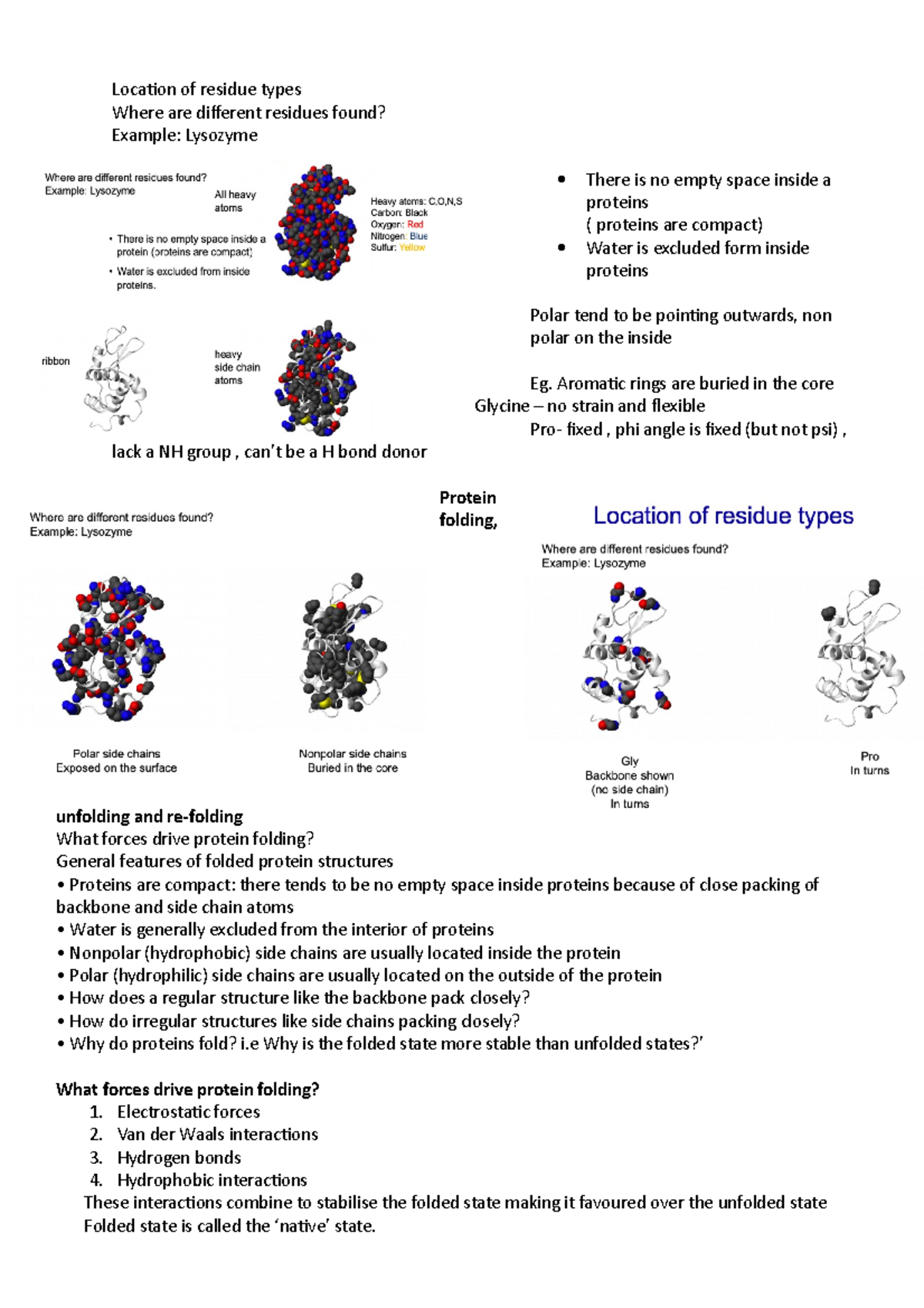 Topic 1, Module 2 - protein structure - Location of residue types Where ...