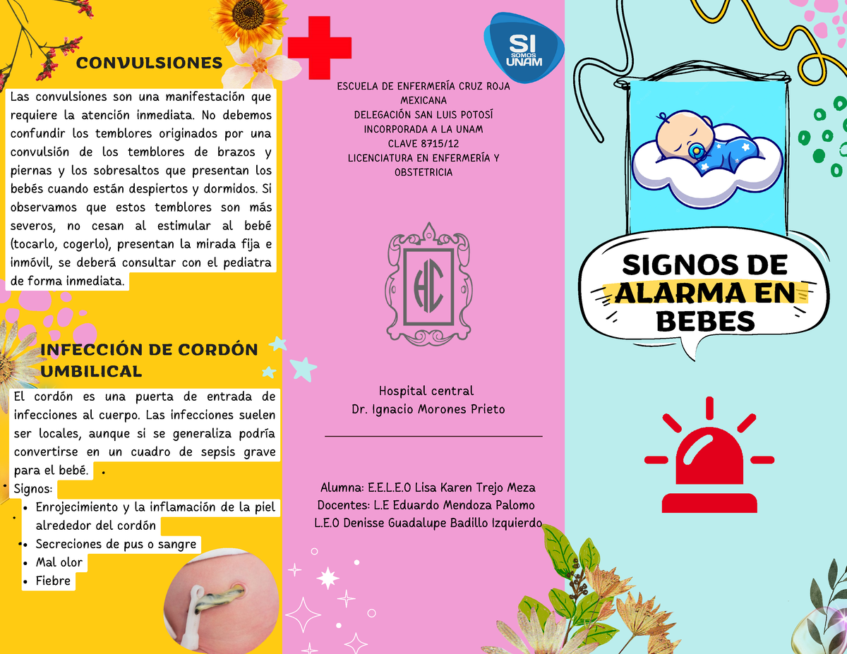 Triptico Signos De Alarma En Rn Hospital Central Dr Ignacio Morones Prieto Signos De Alarma 0383