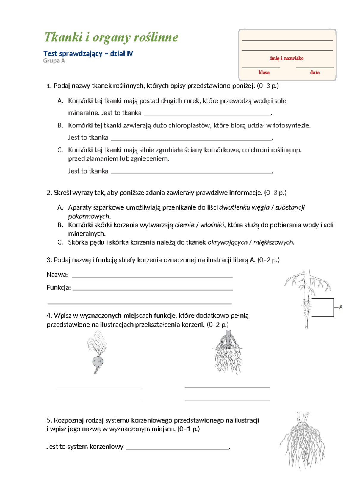Biologia Klasa 7 Sprawdzian Tkanki www.studocu.com