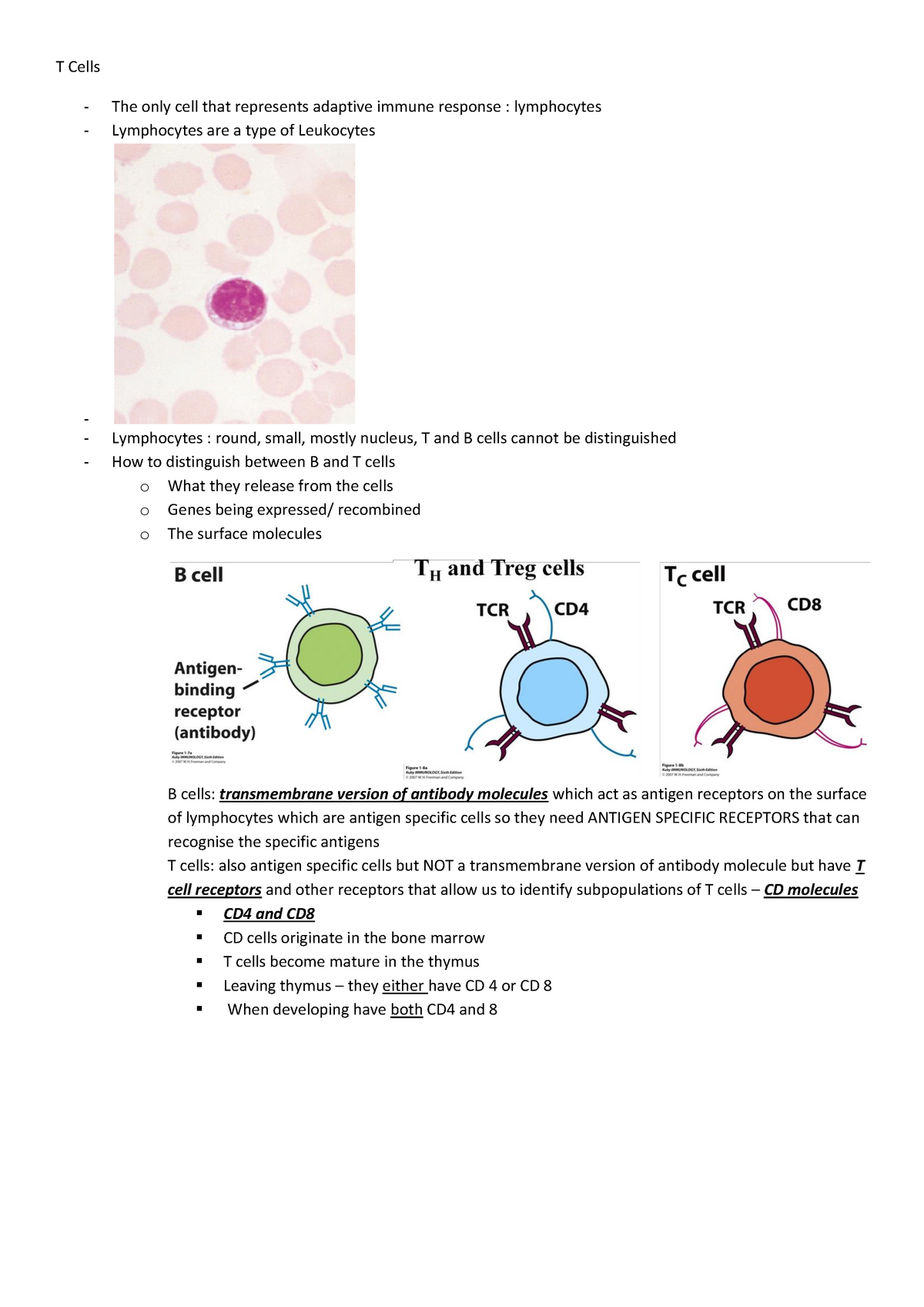 Lecture notes - Immunopharmacology - course: T -Cells - T Cells The ...