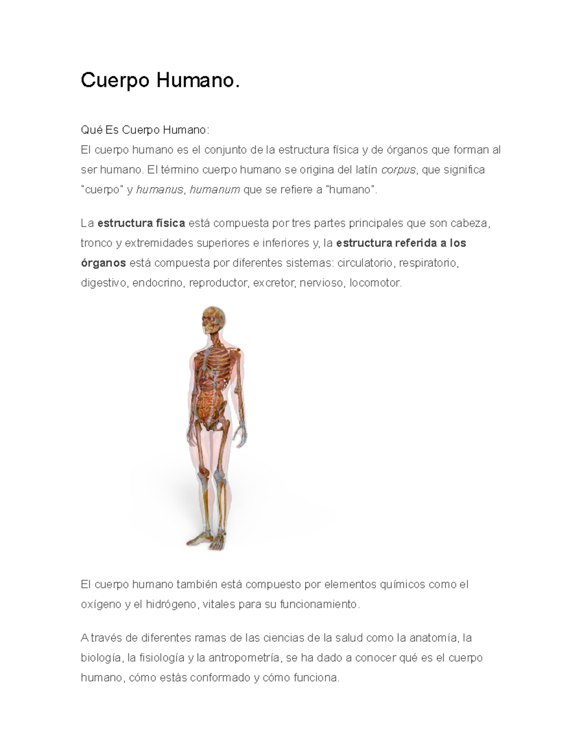 Cuerpo Humano - Unidad Final De La Materia De Anatomía Humana Y Sus ...