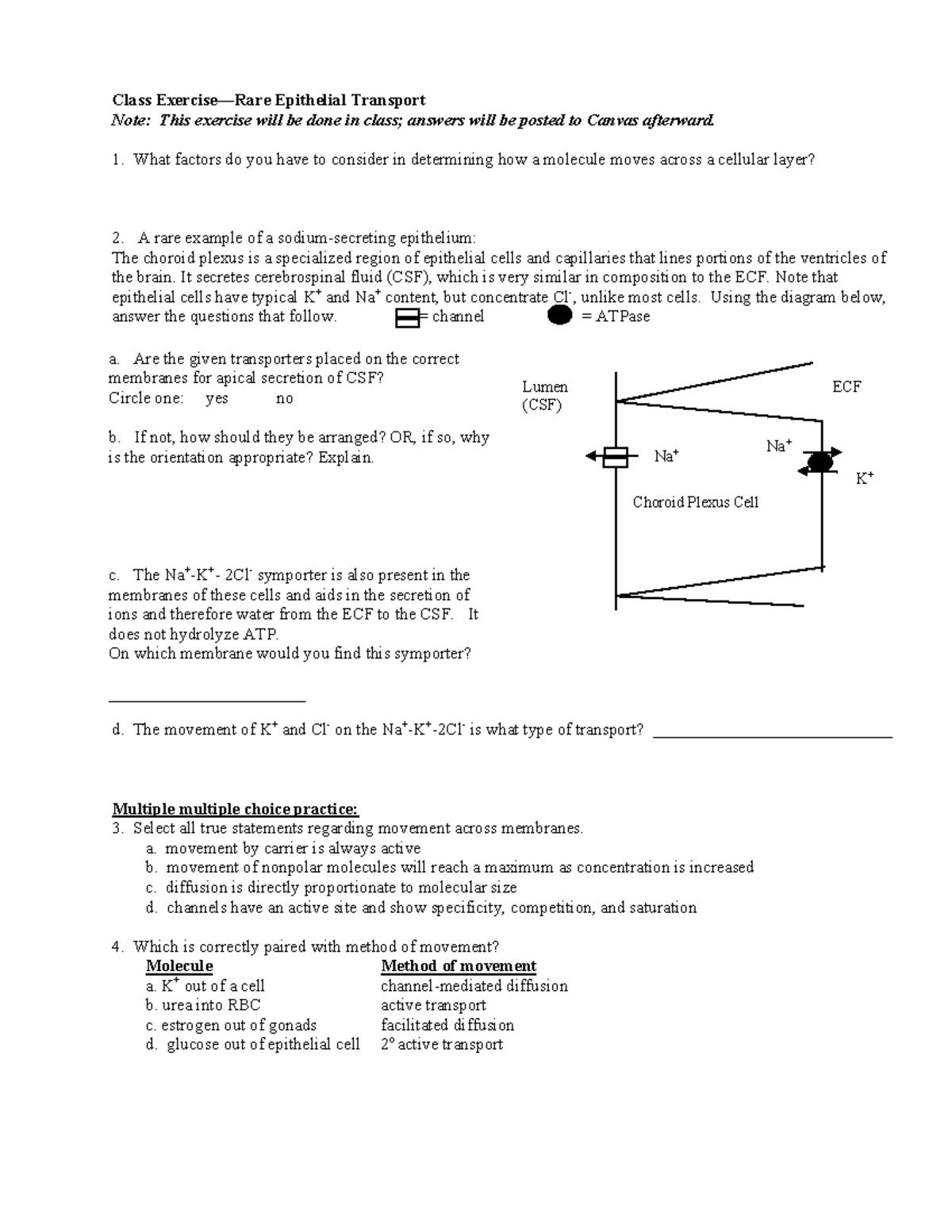 Diffusion Worksheet - Class Exercise—Rare Epithelial Transport Note ...