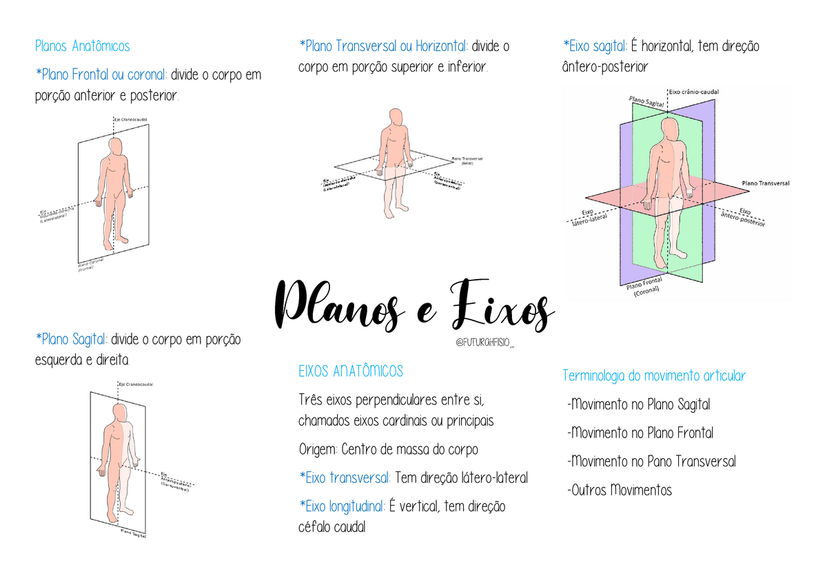 Planos Anat Micos Planos Anat Micos Plano Frontal Ou Coronal Divide