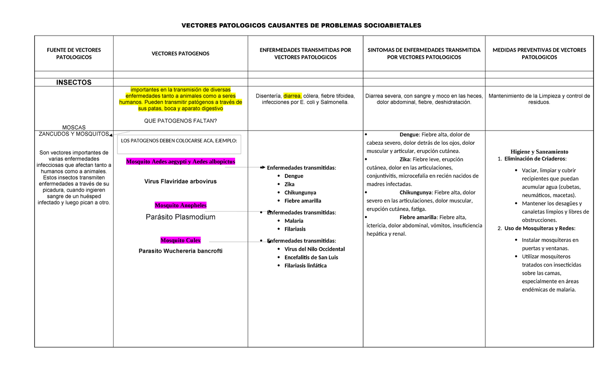 Vectores Patológicos Causantes DE Problemas Socioambietales - VECTORES ...