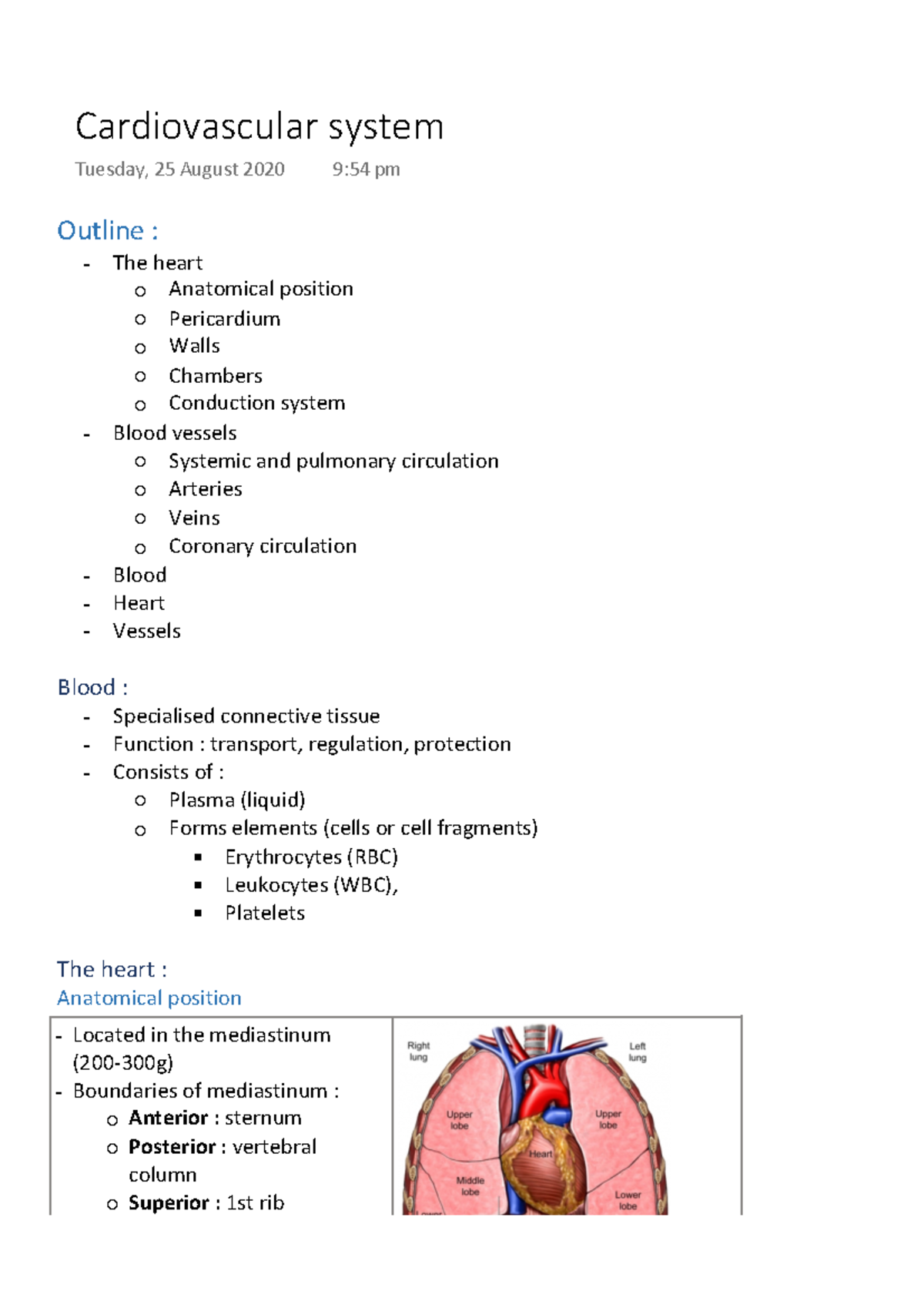 Cardiovascular system notes - Outline : The heart Anatomical position ...