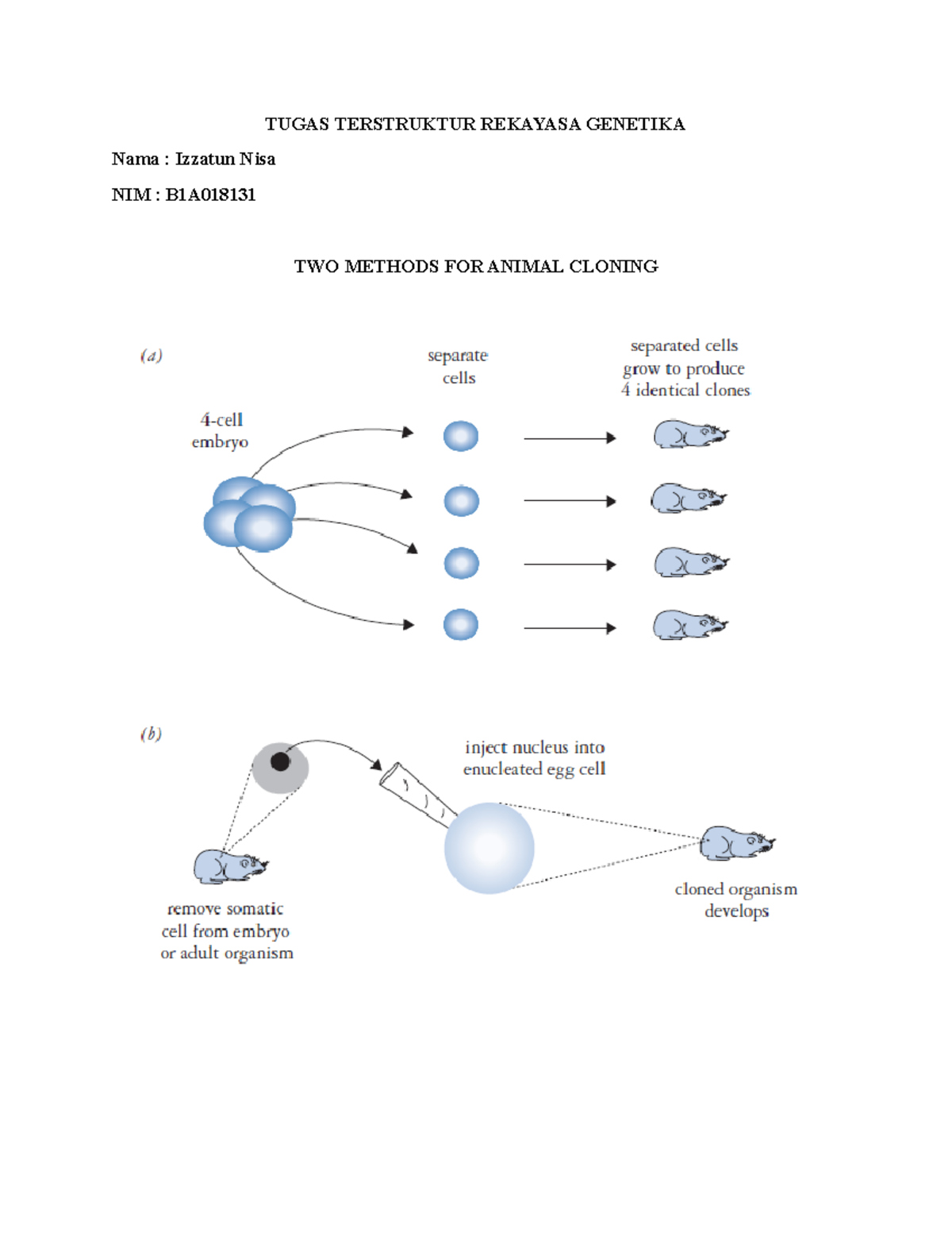 TWO Methods FOR Animal Cloning TUGAS TERSTRUKTUR REKAYASA
