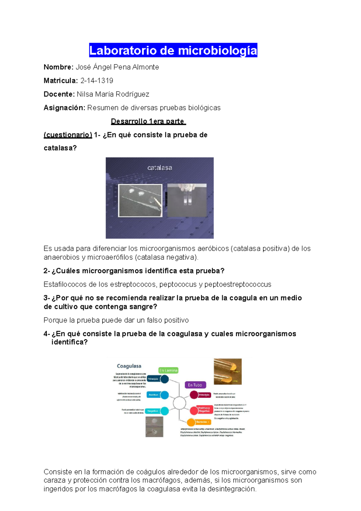 Diversas Pruebas De Microbiologia - Laboratorio De Microbiología Nombre ...