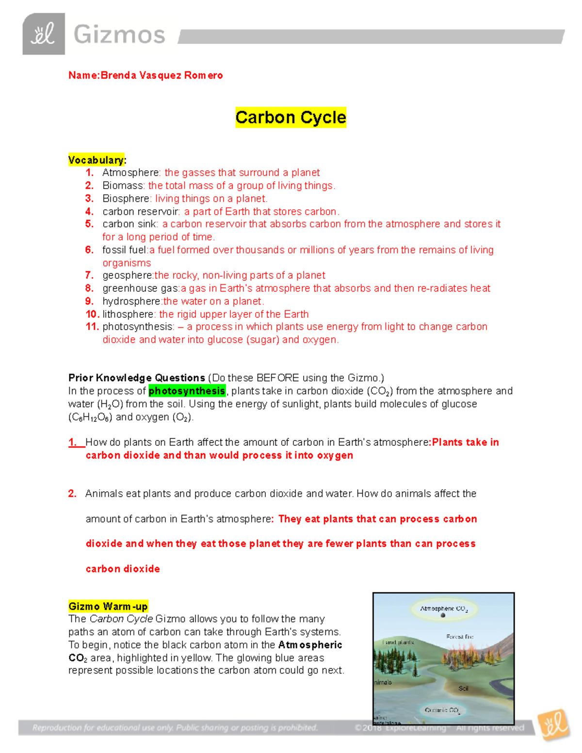 Carbon Cycle Simulation And Exploration Virtual Gizmos 3208158 Name 