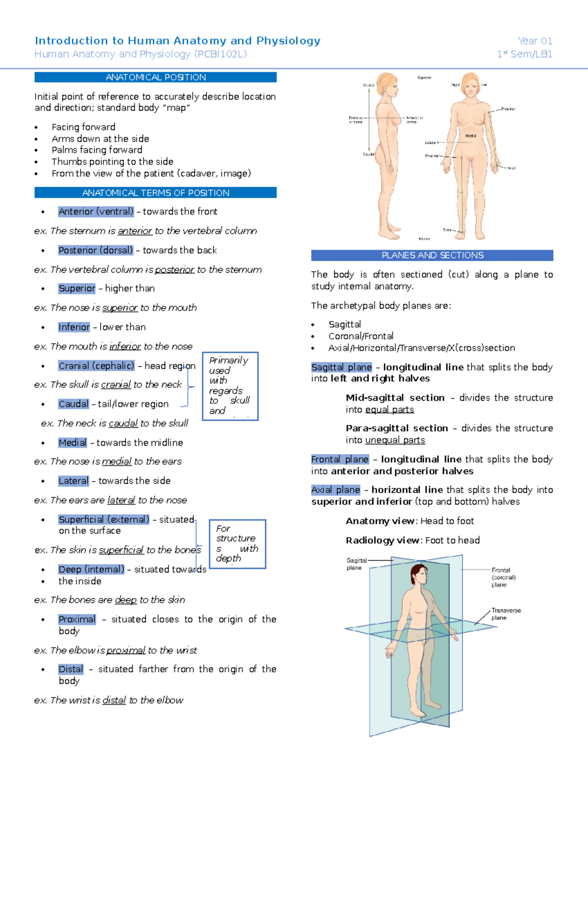 Ana Phy (Lab) Transes - Introduction to Human Anatomy and Physiology ...