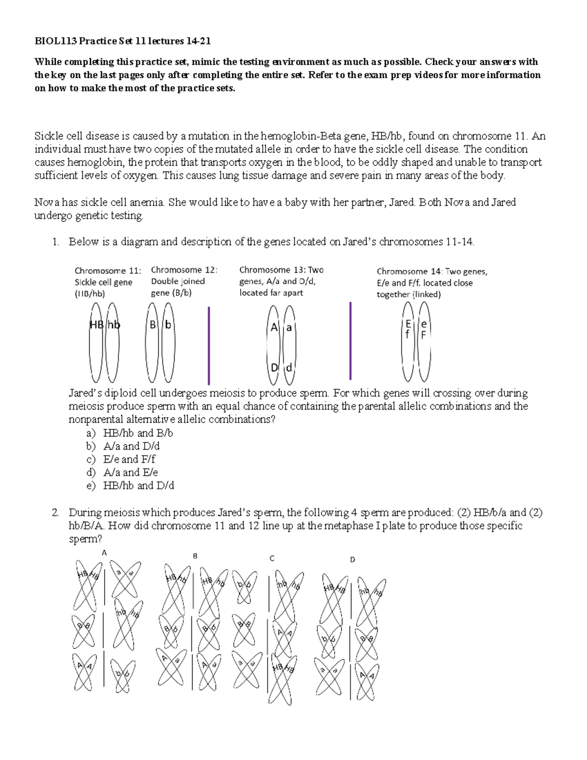 BIOL113 Practice Set 11 lectures 14-21 - Check your answers with the ...
