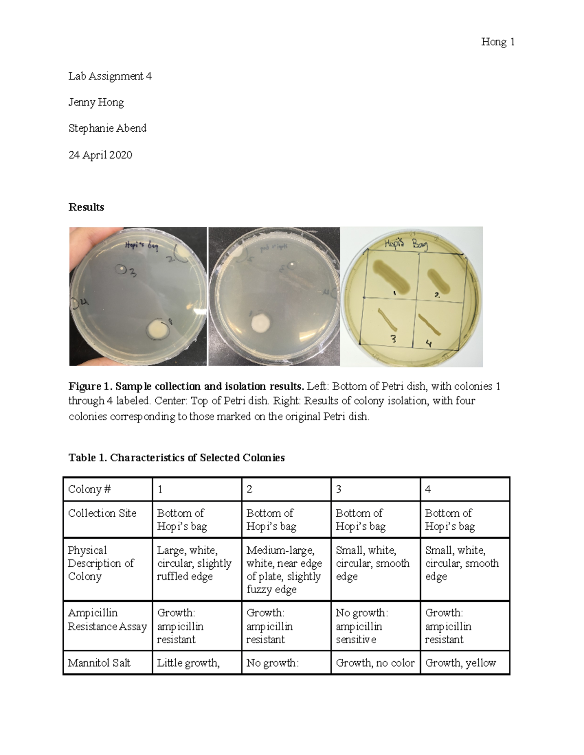 aim of bacterial growth experiment