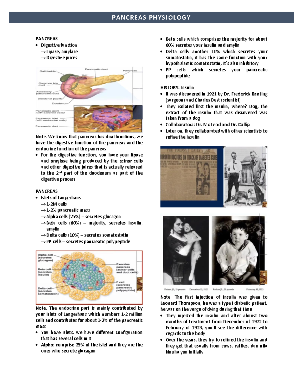 Pancreas Physiology - PANCREAS Digestive function → Lipase, amylase → ...