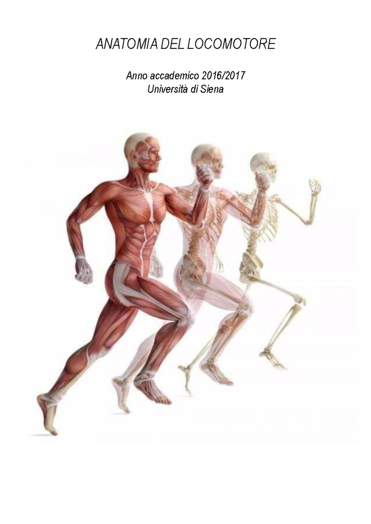 Anatomia-del-locomotore - ANATOMIA DEL LOCOMOTORE Anno accademico 2016 ...