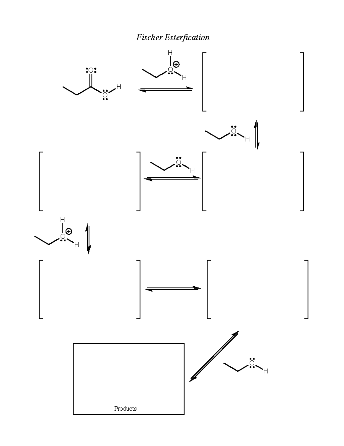 Week 5 Handouts-2 - homework - O O H O H H O H O H O H H O H Products ...