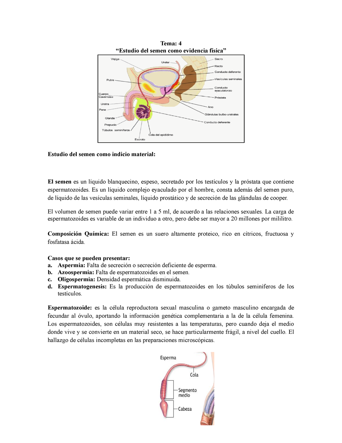 experticia seminal - Tema: 4 “Estudio del semen como evidencia física”  Estudio del semen como - Studocu